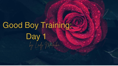 Good Boy Training Day 1
