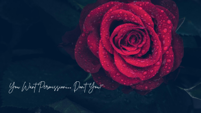 You Want Permission... Don't You?