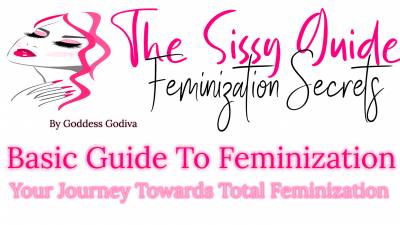 Ebook Basic Guide To Feminization 48 Pages
