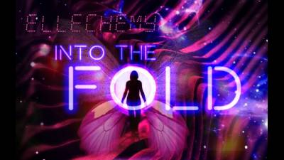 Into The Fold