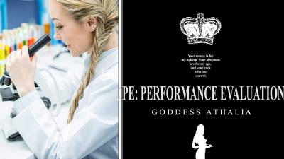 Pe: Performance Evaluation