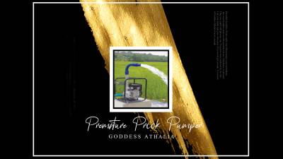 Premature Prick Pumper