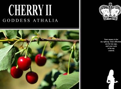 Cherry II: Even More Virgin Humiliation And Rehabilitation