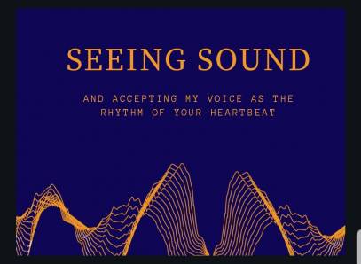 Seeing Sounds