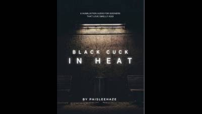 Black Cuck In Heat