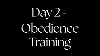 Day 2- Obedience Training
