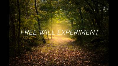 Free Will Experiment