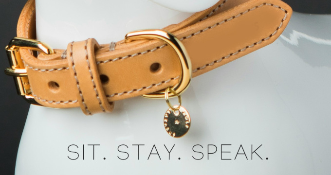 Sit. Stay. Speak