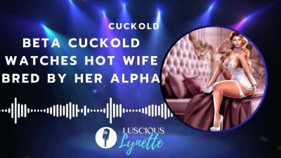 Beta Cuckold Watches Hot Wife Bred By Her Alpha