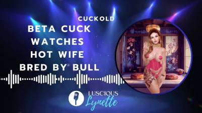 Beta Cuck Watches Hot Wife Bred By Alpha