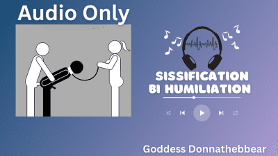 Gay Humiliation/ Sissification