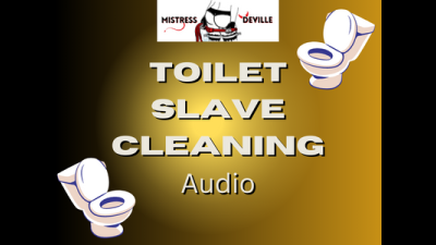 Toilet Slave Sound Affects Audio