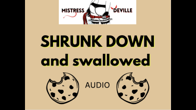 Shrunk By Eaten A Cookie, Now You're The Snack! Audio