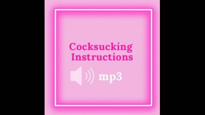 Cocksucking Instructions