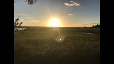 Raise Your Head For You Are Confidence