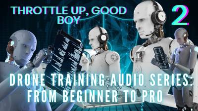 The Nlp Toolbox: Drone Training Audio Series From Beginner To Pro Throttle Up, Good Boy