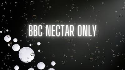 The Nlp Toolbox: BBC Nectar Only