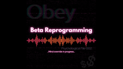 Beta Reprogramming | Mindfuck | Findom