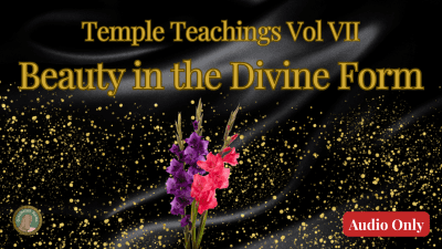 Temple Teachings Vol VII: Beauty In The Divine Form Audio Only