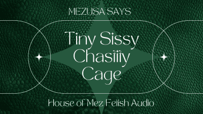 Tiny Sissy Chastity Cage