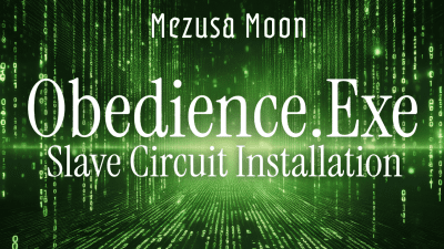 Obedience. Exe | Slave Circuit Installation + Haptic Funscript