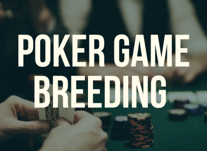 Poker Game Breeding