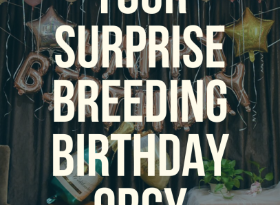 Your Surprise Breeding Birthday Orgy!