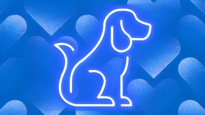 Puppy Obedience Training For Good Boys