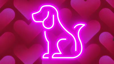 Puppy Obedience Training For Good Girls