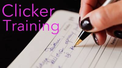 Clicker Training