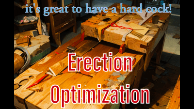 Audible Training- Erection Optimization