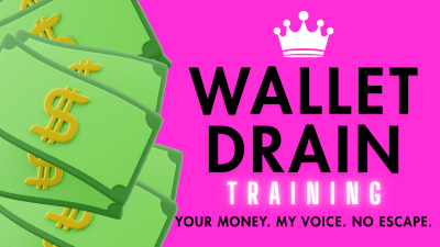 Wallet Drain Training