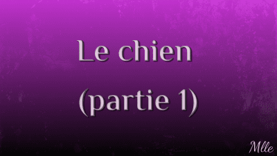Le Chien