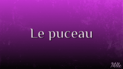 Le Puceau