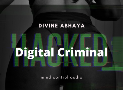 Digital Criminal