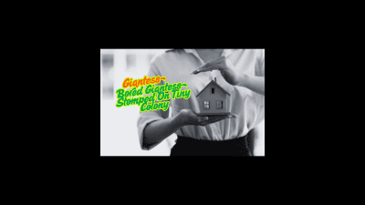 Bored Mega Giantess Stomped On Macro Humans Colony