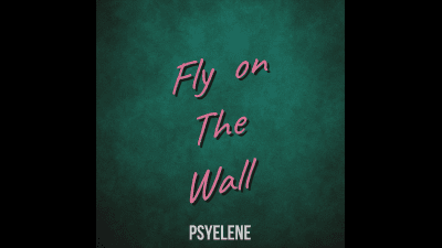 Fly On The Wall