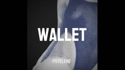 Wallet- A Deep Mindfuck For Financial Surrender