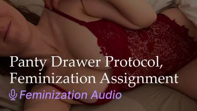 Panty Drawer Protocol, Feminization Assignment Audio