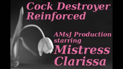 Cock Destroyer Reinforced