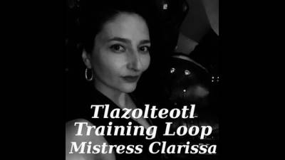 Tlazolteotl Training Loop