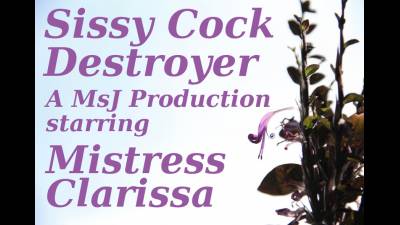 Sissy Cock Destroyer