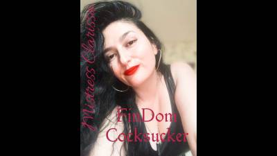 Findom Cocksucker