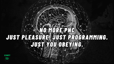 No More Pnc - Just Pleasure. Just Programming. Just You Obeying