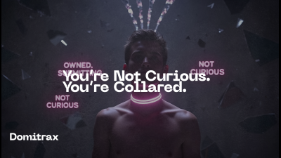 You're Not Curious. You're Collared