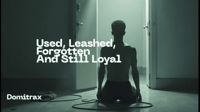 Used, Leashed, Forgotten - And Still Loyal