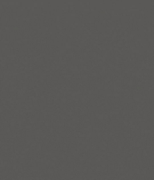 ** Bred At The BBC Shemale Gloryhole **