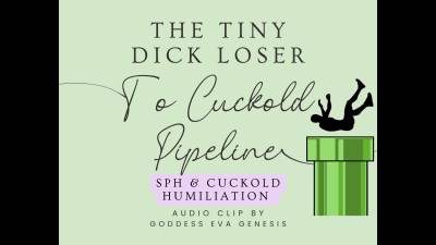 The Tiny Dick Loser To Cuckold Pipeline