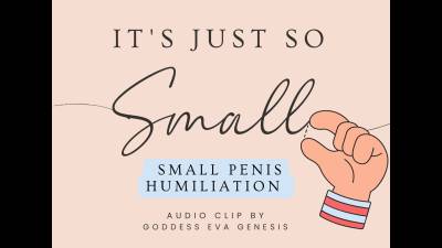 Your Dick Is Just So Small