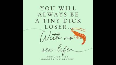 You Will Always Be A Tiny Dick Loser